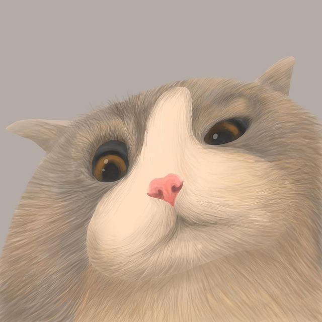 해외에서 인기 있는 이색 반려동물 용품 TOP 10