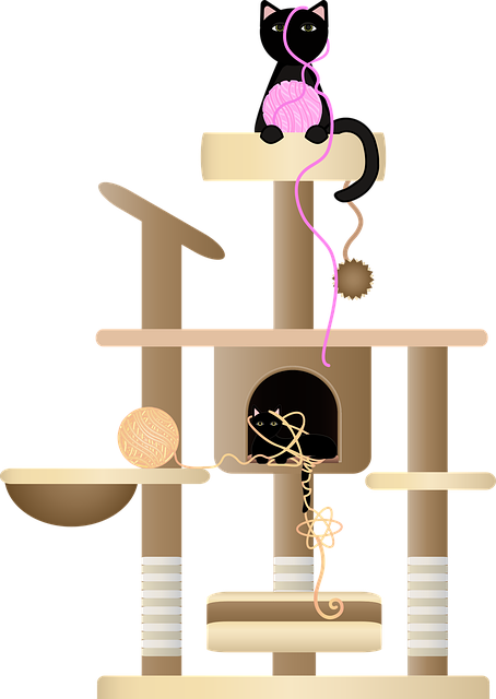반려동물과 함께 갈 수 있는 국내 카페·숙소 최신 트렌드